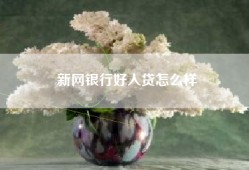新网银行好人贷怎么样