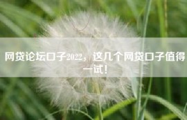 网贷论坛口子2022，这几个网贷口子值得一试！