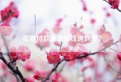 花呗付款退货后钱退到哪？