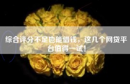 综合评分不足也能借钱，这几个网贷平台值得一试！