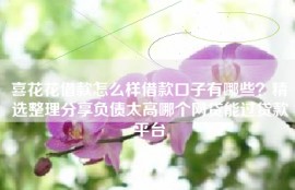 喜花花借款怎么样借款口子有哪些？精选整理分享负债太高哪个网贷能过贷款平台