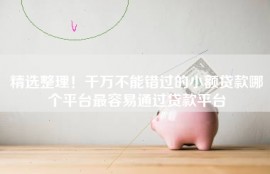 精选整理！千万不能错过的小额贷款哪个平台最容易通过贷款平台