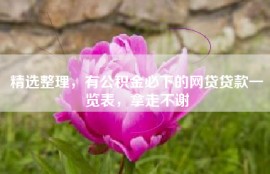 精选整理，有公积金必下的网贷贷款一览表，拿走不谢