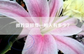 微粒贷额度一般人有多少？