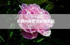 长银58消费贷是哪里的