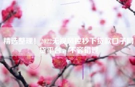 精选整理！2022无视风控秒下贷款口子网贷平台，不容错过