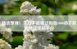 精选整理！千万不能错过的借1000必下款的网贷贷款平台