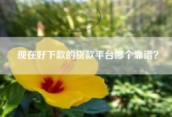 现在好下款的贷款平台哪个靠谱？