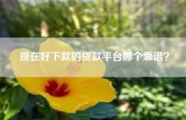 现在好下款的贷款平台哪个靠谱？