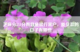 芝麻分551分而且是银行黑户，能贷款的口子有哪些