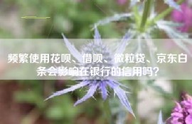 频繁使用花呗、借呗、微粒贷、京东白条会影响在银行的信用吗？