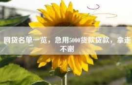 网贷名单一览，急用5000货款贷款，拿走不谢