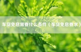 车贷免息需要什么条件（车贷免息要求）
