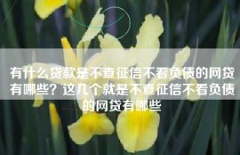 有什么贷款是不查征信不看负债的网贷有哪些？这几个就是不查征信不看负债的网贷有哪些