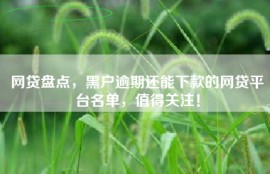 网贷盘点，黑户逾期还能下款的网贷平台名单，值得关注！