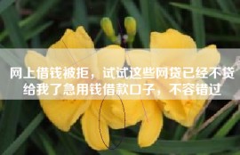 网上借钱被拒，试试这些网贷已经不贷给我了急用钱借款口子，不容错过