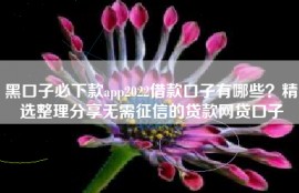黑口子必下款app2022借款口子有哪些？精选整理分享无需征信的贷款网贷口子
