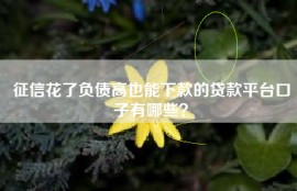 征信花了负债高也能下款的贷款平台口子有哪些？
