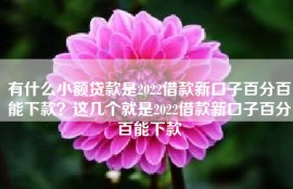 有什么小额贷款是2022借款新口子百分百能下款？这几个就是2022借款新口子百分百能下款