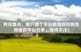 网贷盘点，黑户哪个平台能借到钱啊急用借款平台名单，值得关注！