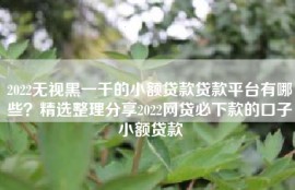 2022无视黑一千的小额贷款贷款平台有哪些？精选整理分享2022网贷必下款的口子小额贷款