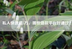 私人快速借5万，哪些借款平台好通过？