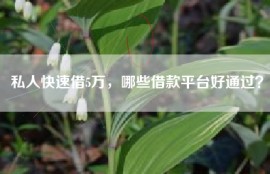 私人快速借5万，哪些借款平台好通过？