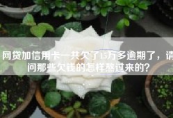 网贷加信用卡一共欠了15万多逾期了，请问那些欠钱的怎样熬过来的？
