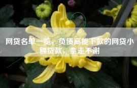 网贷名单一览，负债高能下款的网贷小额贷款，拿走不谢