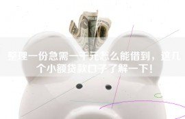 整理一份急需一千元怎么能借到，这几个小额贷款口子了解一下！