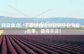 网贷盘点，不审核直接放款的平台贷款app名单，值得关注！