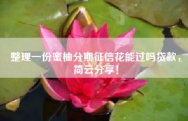 整理一份蜜柚分期征信花能过吗贷款，简云分享！