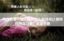网贷名单一览，黑户什么软件可以借到钱网贷口子，拿走不谢