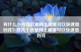 有什么小额贷款是网上哪里可以快速借到钱？这几个就是网上哪里可以快速借到钱