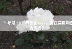 “5年期LPR”降低到4.65%，现在买房利息会降吗？