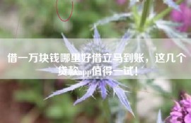 借一万块钱哪里好借立马到账，这几个贷款app值得一试！