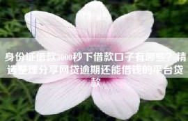 身份证借款3000秒下借款口子有哪些？精选整理分享网贷逾期还能借钱的平台贷款