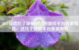 2022征信烂了审核必过的借钱平台名单精选，这几个贷款平台亲测有效