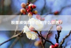 股票被强制平仓是什么意思？