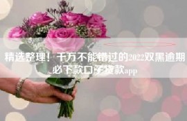 精选整理！千万不能错过的2022双黑逾期必下款口子贷款app
