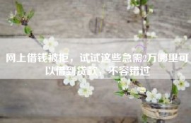 网上借钱被拒，试试这些急需2万哪里可以借到贷款，不容错过