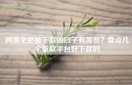 网黑全拒能下款的口子有哪些？盘点几个贷款平台好下款的