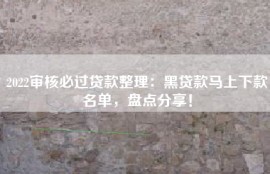 2022审核必过贷款整理：黑贷款马上下款名单，盘点分享！