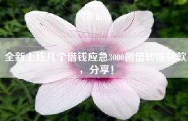 全新上线几个借钱应急3000微信转账贷款，分享！