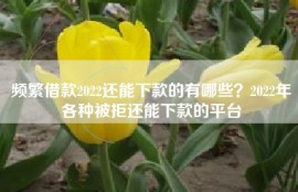 频繁借款2022还能下款的有哪些？2022年各种被拒还能下款的平台