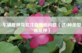 车辆抵押贷款注意哪些问题（这4种类型难抵押）