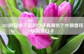 2023网贷必下款的口子有哪些？小额借钱秒到账口子