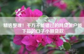 精选整理！千万不能错过的网贷黑户能下款的口子小额贷款