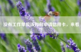 没有工作单位该如何申请信用卡，来看下