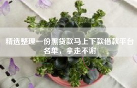 精选整理一份黑贷款马上下款借款平台名单，拿走不谢